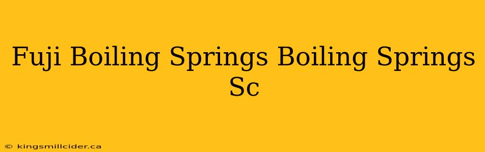 Fuji Boiling Springs Boiling Springs Sc