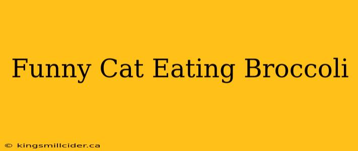 Funny Cat Eating Broccoli