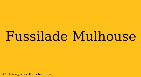 Fussilade Mulhouse