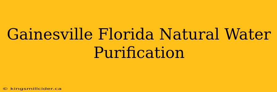 Gainesville Florida Natural Water Purification