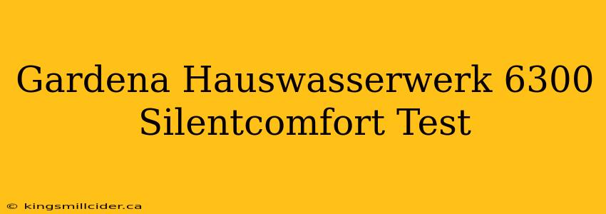 Gardena Hauswasserwerk 6300 Silentcomfort Test