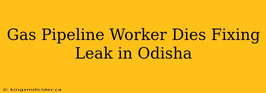 Gas Pipeline Worker Dies Fixing Leak in Odisha