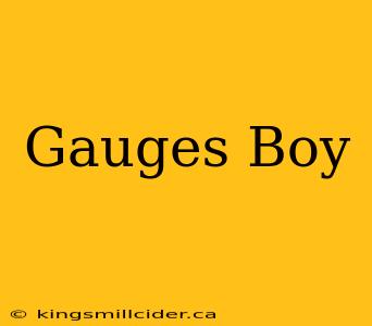 Gauges Boy