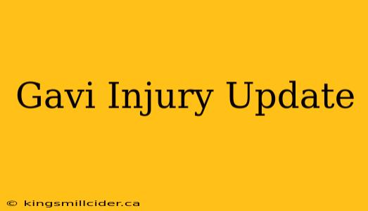 Gavi Injury Update