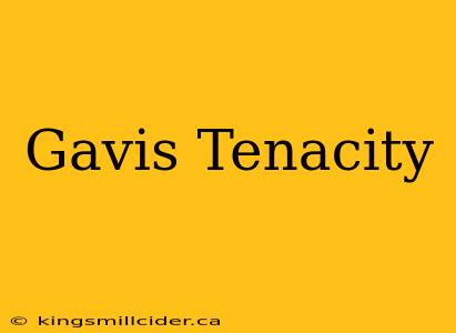 Gavis Tenacity