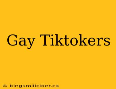 Gay Tiktokers