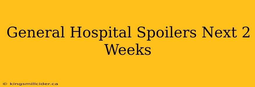 General Hospital Spoilers Next 2 Weeks