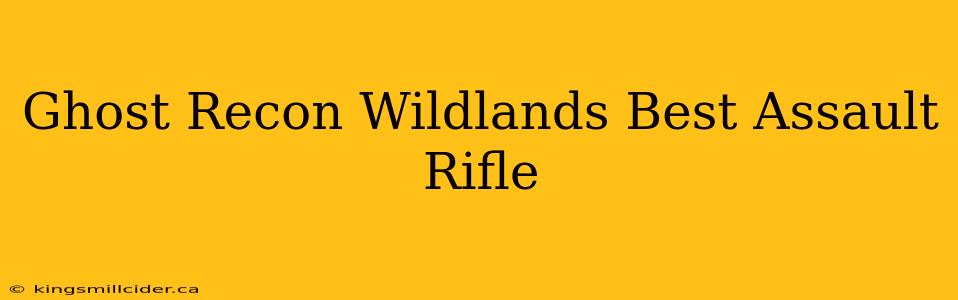 Ghost Recon Wildlands Best Assault Rifle