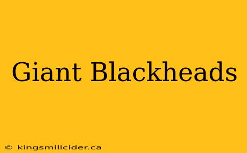 Giant Blackheads