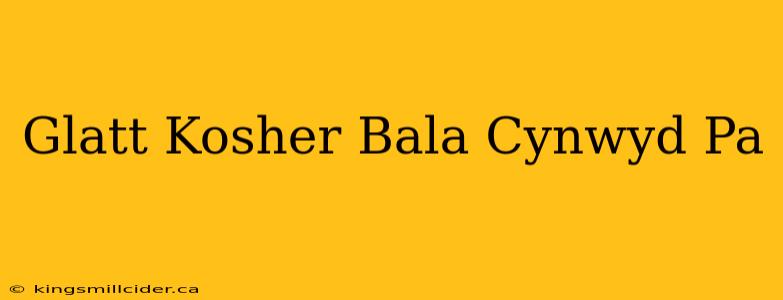 Glatt Kosher Bala Cynwyd Pa