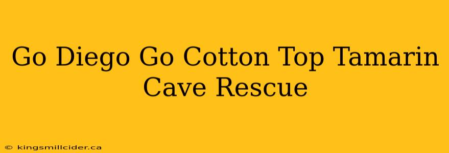 Go Diego Go Cotton Top Tamarin Cave Rescue