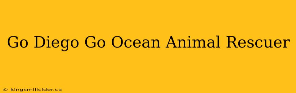 Go Diego Go Ocean Animal Rescuer