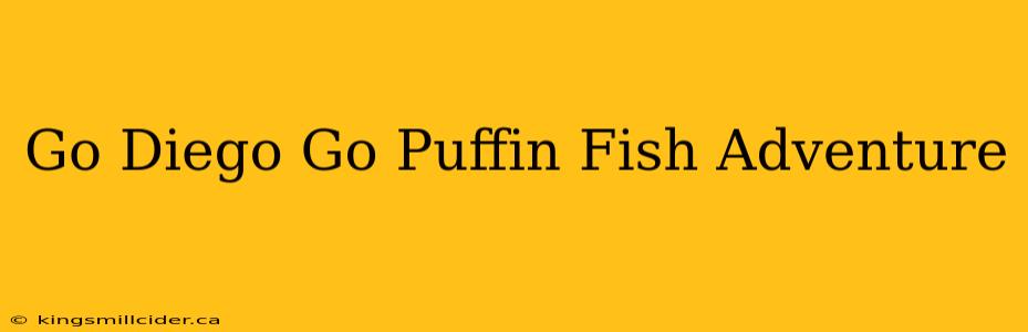 Go Diego Go Puffin Fish Adventure