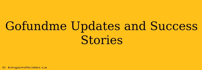 Gofundme Updates and Success Stories