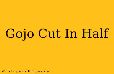 Gojo Cut In Half