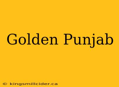 Golden Punjab