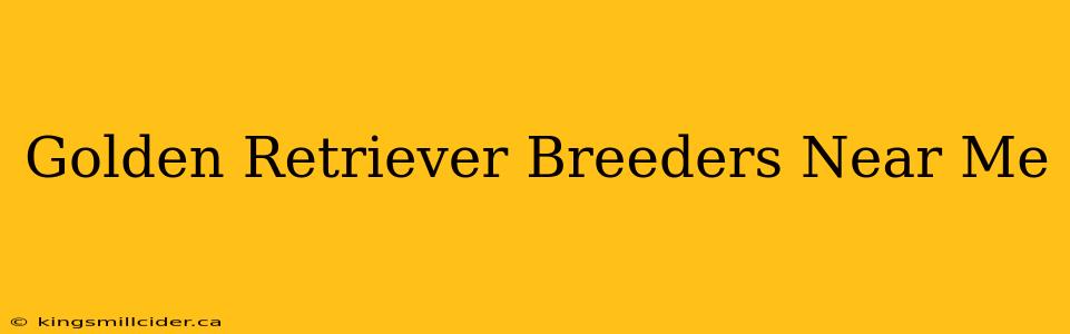 Golden Retriever Breeders Near Me