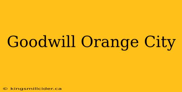 Goodwill Orange City