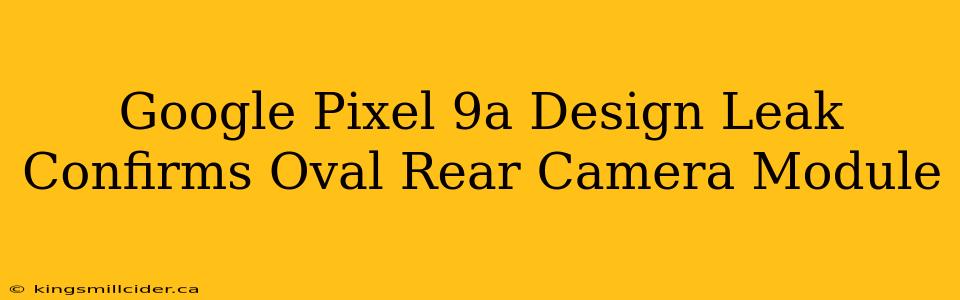 Google Pixel 9a Design Leak Confirms Oval Rear Camera Module