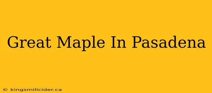 Great Maple In Pasadena