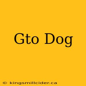 Gto Dog