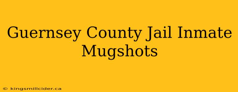 Guernsey County Jail Inmate Mugshots