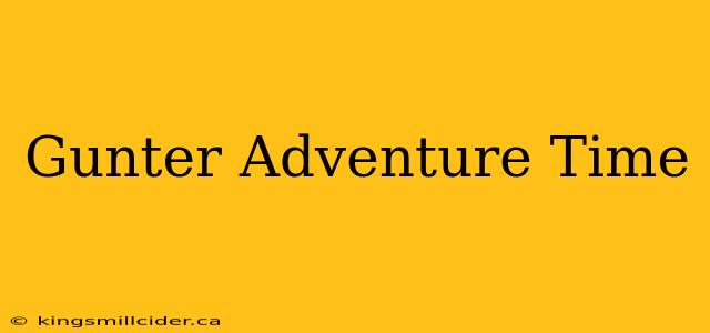 Gunter Adventure Time