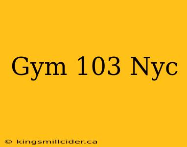 Gym 103 Nyc