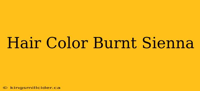 Hair Color Burnt Sienna