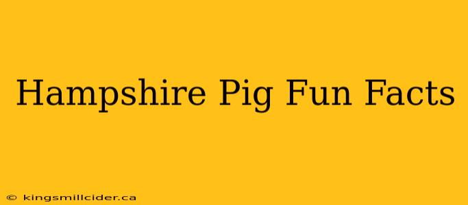 Hampshire Pig Fun Facts