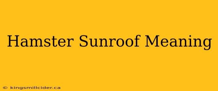 Hamster Sunroof Meaning