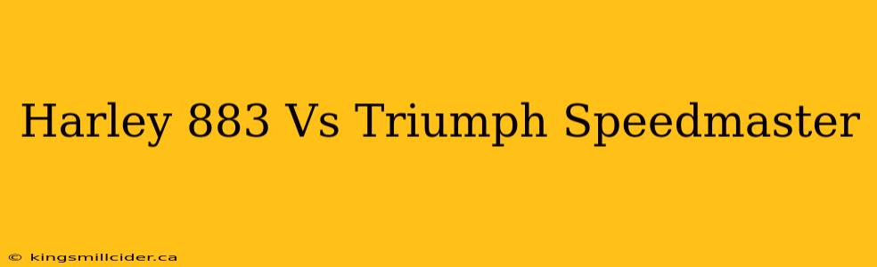 Harley 883 Vs Triumph Speedmaster