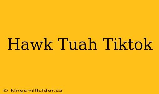 Hawk Tuah Tiktok