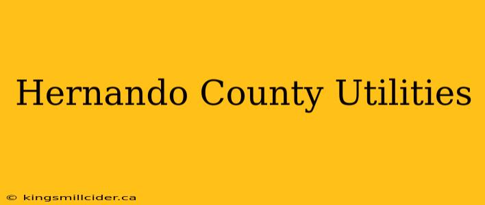 Hernando County Utilities