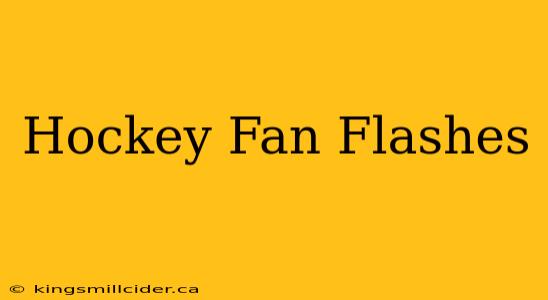 Hockey Fan Flashes