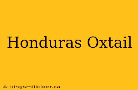 Honduras Oxtail