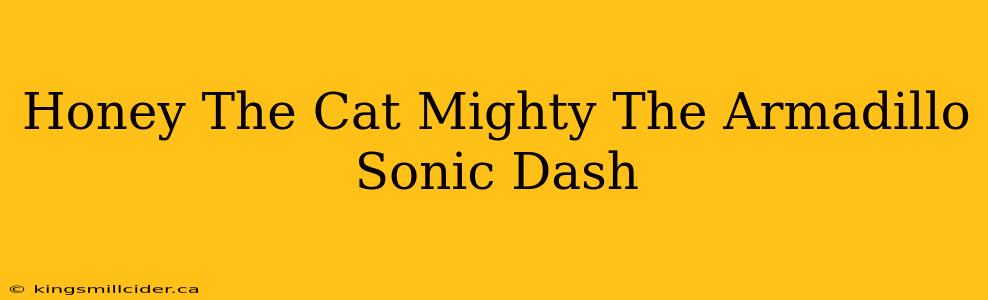 Honey The Cat Mighty The Armadillo Sonic Dash