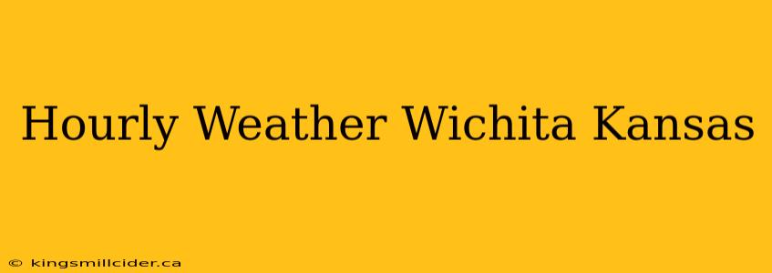 Hourly Weather Wichita Kansas