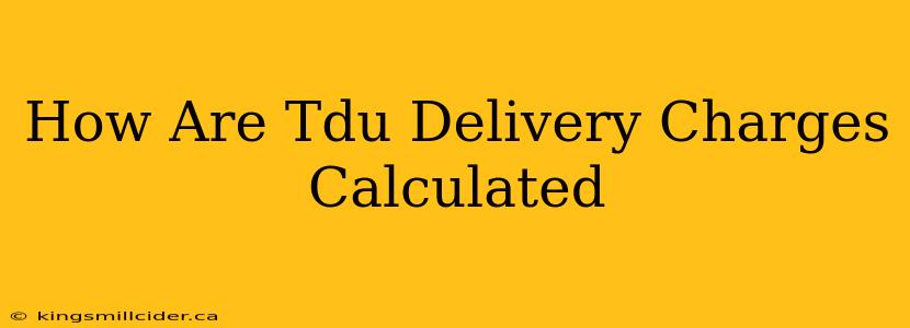 How Are Tdu Delivery Charges Calculated