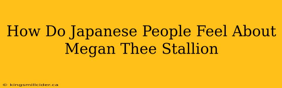 How Do Japanese People Feel About Megan Thee Stallion