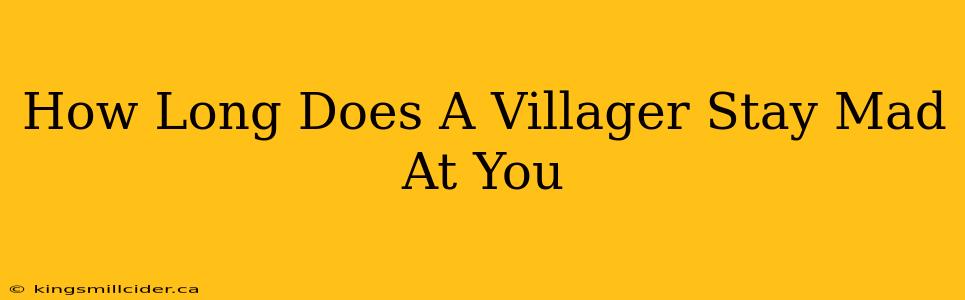 How Long Does A Villager Stay Mad At You