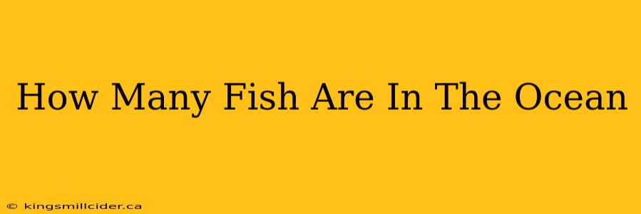 How Many Fish Are In The Ocean