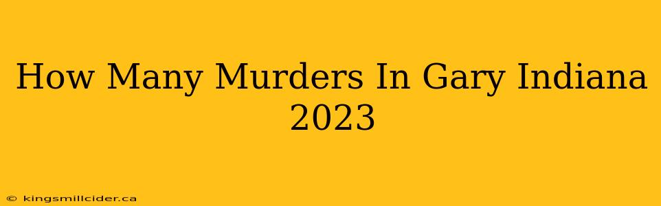 How Many Murders In Gary Indiana 2023