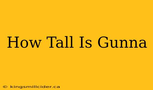 How Tall Is Gunna