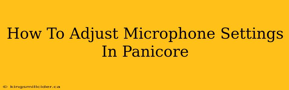 How To Adjust Microphone Settings In Panicore