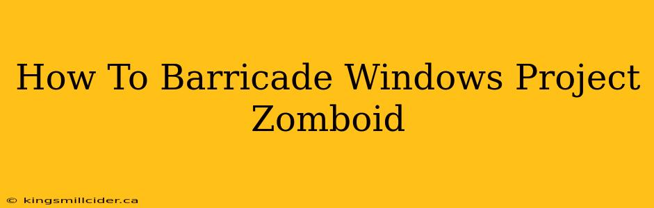 How To Barricade Windows Project Zomboid