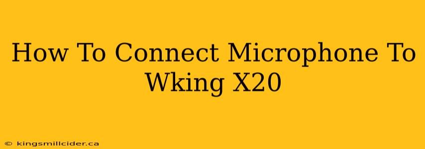 How To Connect Microphone To Wking X20