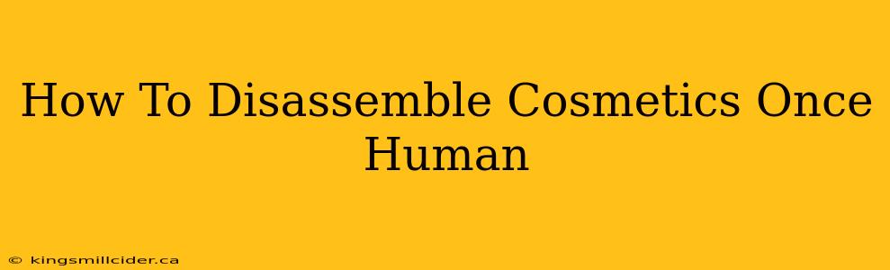 How To Disassemble Cosmetics Once Human