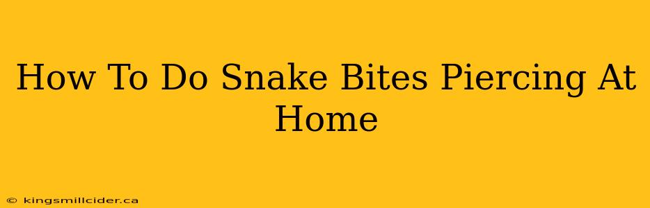 How To Do Snake Bites Piercing At Home