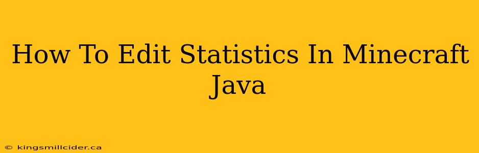 How To Edit Statistics In Minecraft Java